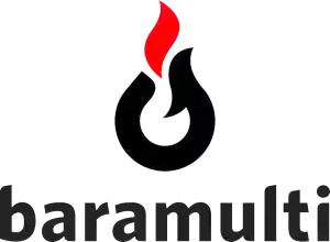 Baramulti_Group-300x220